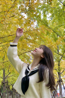樱花动漫官方正版入口在哪里