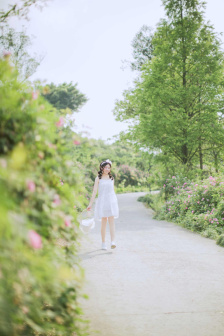 妻子6免费观看全集